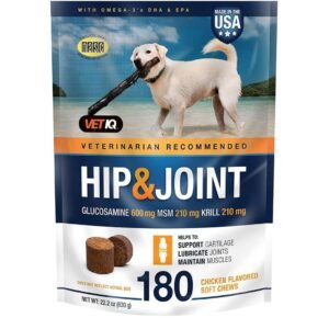 PetNC Natural Care Hip and Joint Soft Chews for Dogs, 90 Count